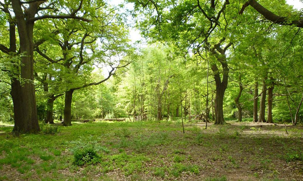 Southborough